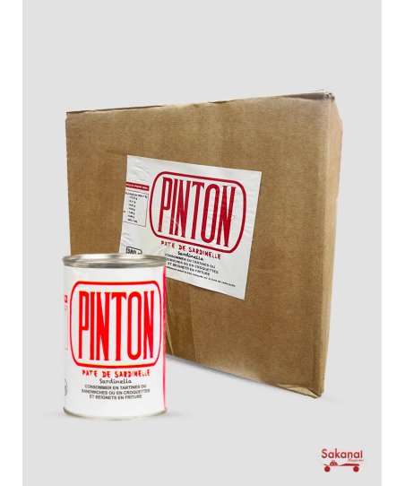 CARTON PINTHON 24*380G
