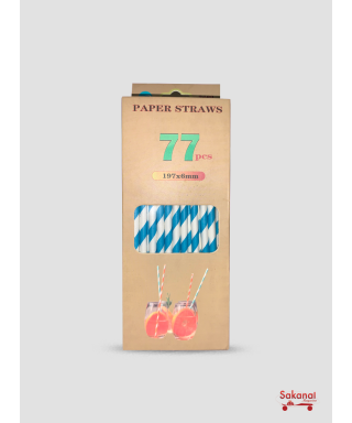 PAILLE PUPETTE COULEUR 77 PCS