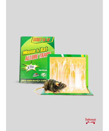 INSECTICIDE COL MOUSE ET...