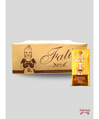 CARTON FARINE FATY 48*250G