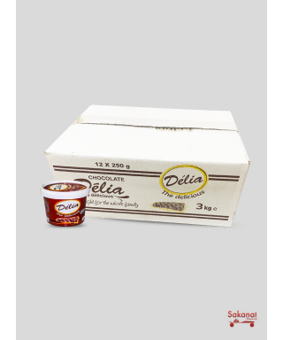 CARTON CHOCOLAT DELIA 12*250G