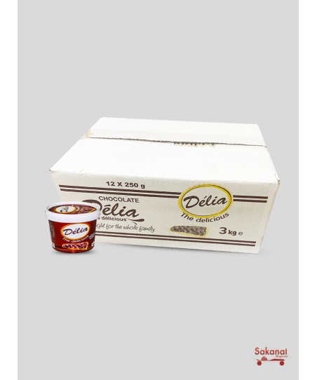 CARTON CHOCOLAT DELIA 12*250G