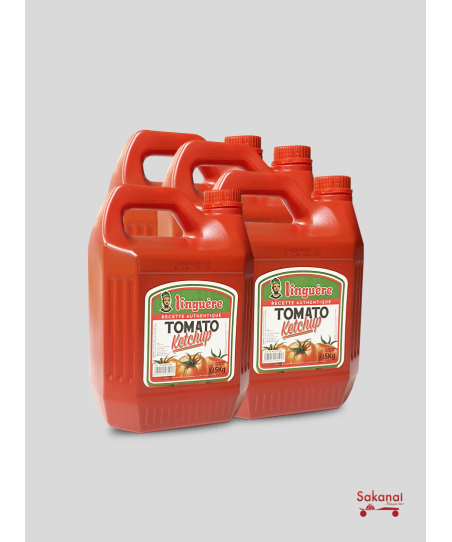 CARTON KETCHUP LINGUERE 4*5L