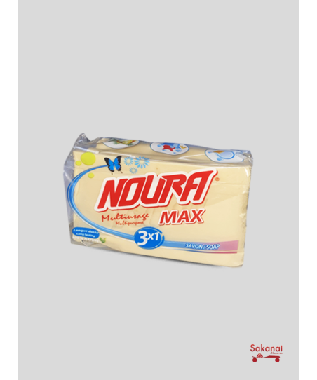 SAVON EN MORCEAUX NOURA...