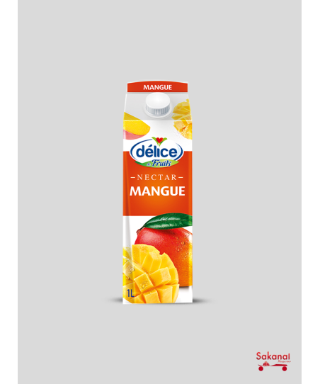 JUS DELICE DE FRUITS MANGUE 1L