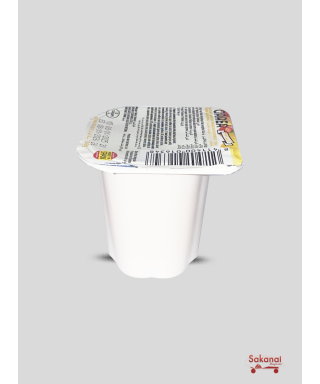 LAIT YAOURT GAREA MULTIFRUITS