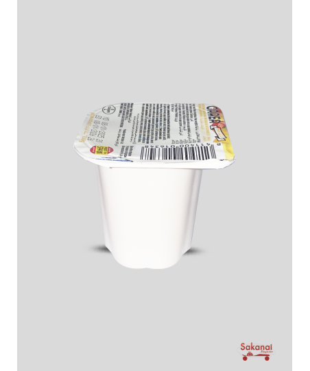 LAIT YAOURT GAREA MULTIFRUITS