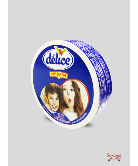 FROMAGE DELICE MILKANA 16...