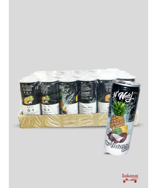 JUS WELY COCO ANANAS 24*250ML