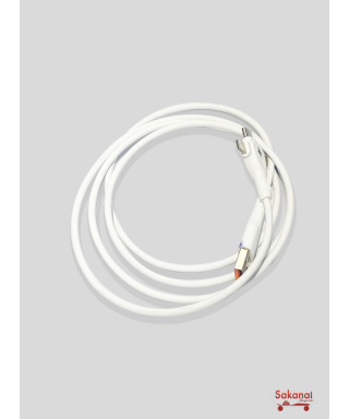 CHARGEUR  TELEPHONE RC SCAR...