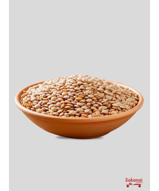 LENTILLE EN VRAC 500G