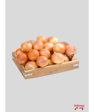 OIGNON IMPORTE 1/2 SAC