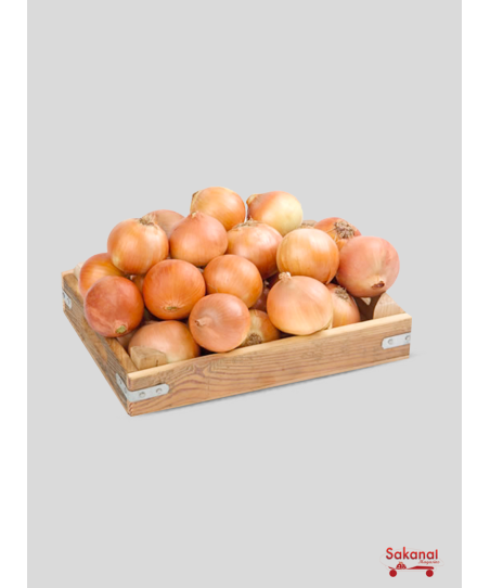 OIGNON IMPORTE 1/2 SAC