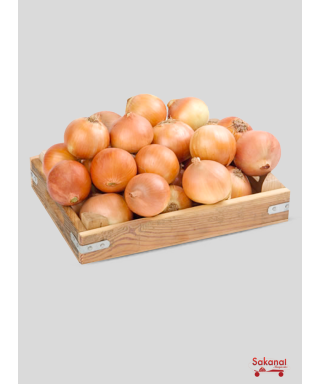 OIGNON IMPORTE 25KG