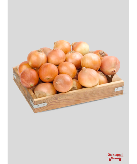 OIGNON IMPORTE 25KG