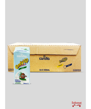 LAIT CANDY UP COCO 24*200ML