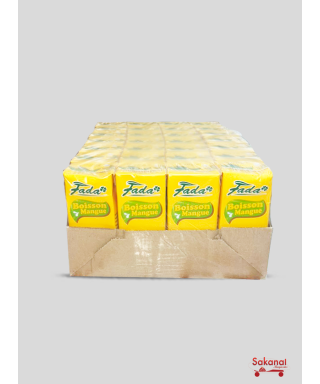 JUS BRIQUE FADA MANGUE...