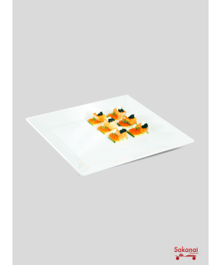 VAISSELLE ASSIETTE MELAMINE...