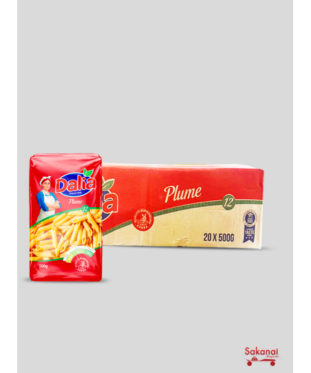 CARTON MACARONI DALIA PLUME...