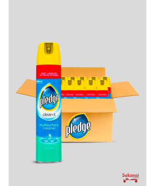 DEPOUSSIERANT PLEDGE 24* 250ML