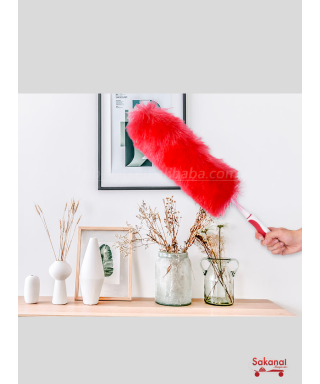 PLUMEAU  COULEUR LIAO 