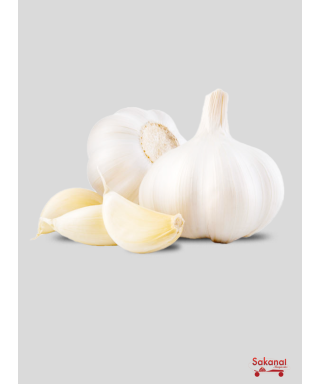 AIL 500G