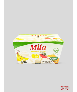 LAIT YAOURT CREMEUX MILA...