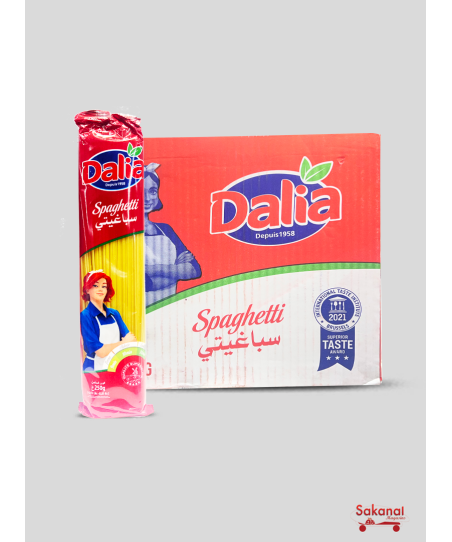 CARTON SPAGHETTI DELIA...