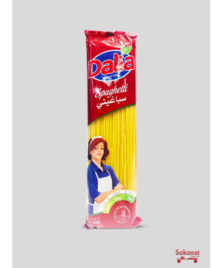 SPAGHETTI DELIA  500G