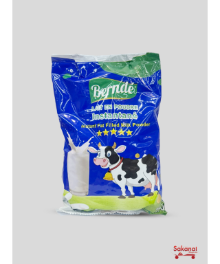 LAIT EN POUDRE BERNDE 500G