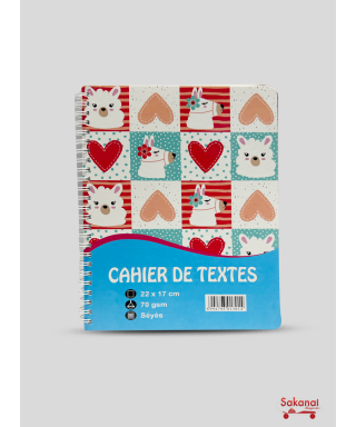 CAHIER DE TEXTE 22X17CM...