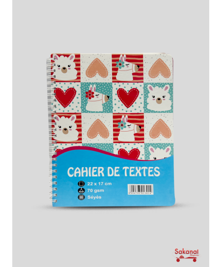 CAHIER DE TEXTE 22X17CM...