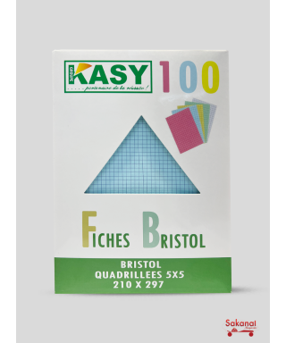 CAHIER FICHE BRISTOL A5 GM...