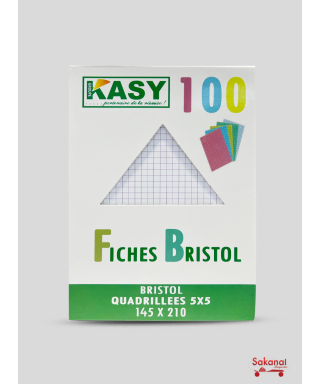 CAHIER FICHE BRISTOL A4  PM...