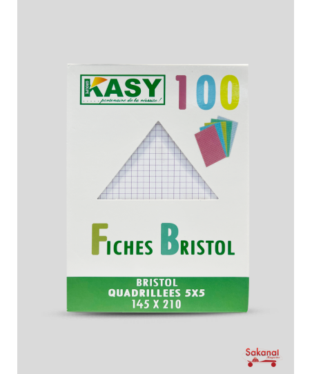 CAHIER FICHE BRISTOL A4  PM...