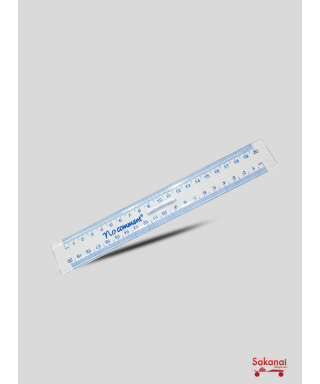 REGLE DOUBLE DECIMETRE 20CM